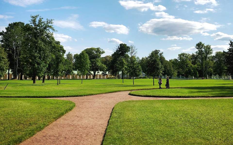 Feldweg zwischen Grasfeld